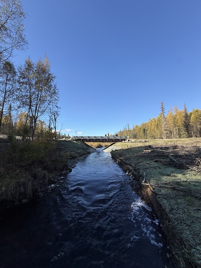 Salmon habitat restoration in Tyonek stream