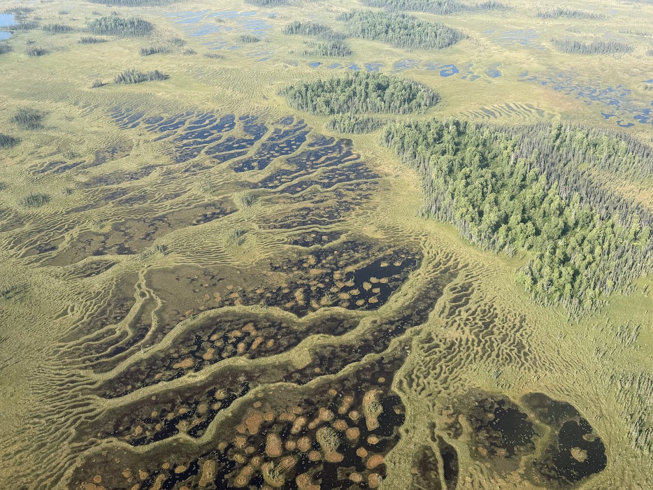 Technical consultation on landowner conservation property