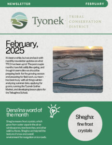 February 2025 Newsletter Preview