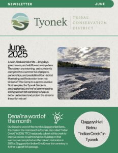 June 2025 Newsletter Preview