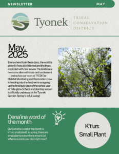 May 2025 Newsletter Preview