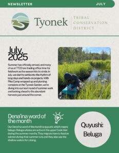 July 2025 Newsletter Preview