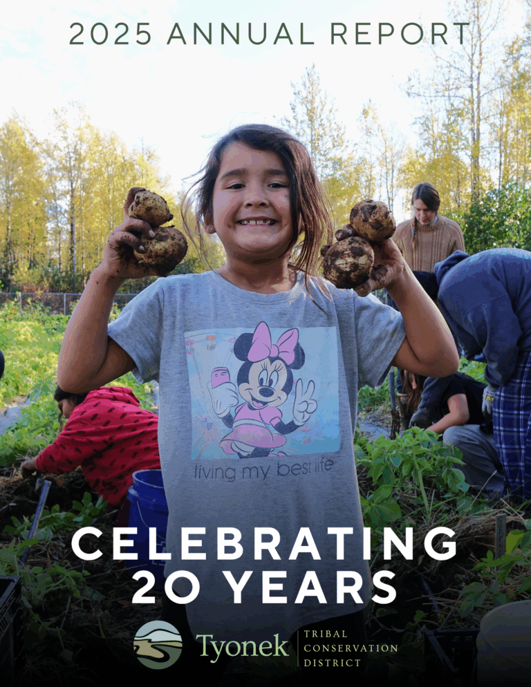 2025 Annual Report Preview