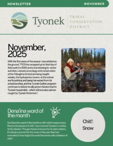 November 2025 Newsletter Preview