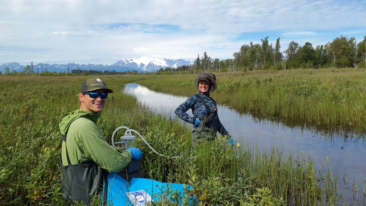 Conservation biologists conducting aquatic field sampling